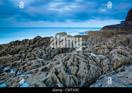 St. Govan Kopf, Pembrokeshire Coast National Park, breite Haven, Wales, UK Stockfoto