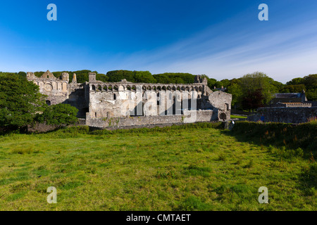 Ruine der Bischofspalast, St. Davids, Pembrokeshire, Wales, UK, Europa Stockfoto