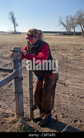 Rinderfarm in Nebraska Territorium Sandhügel wo Keystone XL Öl-Pipeline ist geplant Stockfoto