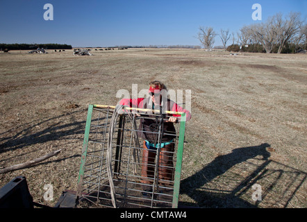 Rinderfarm in Nebraska Territorium Sandhügel wo Keystone XL Öl-Pipeline ist geplant Stockfoto