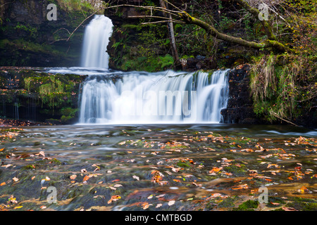 Sgwd Isaf Ddwli, untere Ddwli fällt auf die Afon Nedd Fechan, Brecon Beacons National Park, Powys, Wales, Europa Stockfoto