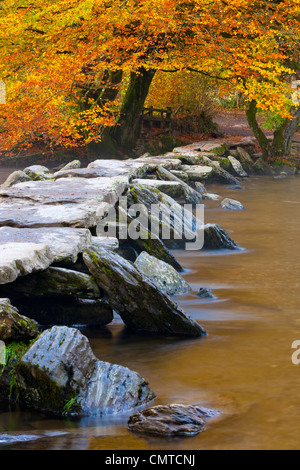 Tarr Steps sind eine prähistorische Klöppel-Brücke über den Fluß Barle im Exmoor National Park, Somerset, England. Stockfoto