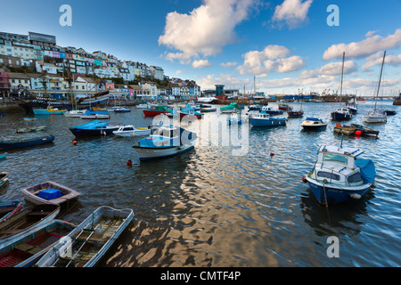 Brixham Hafen, Devon, England, Vereinigtes Königreich, Europa Stockfoto