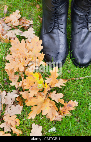 Erhöhte Ansicht des Herbstes lässt auf Boden Stockfoto
