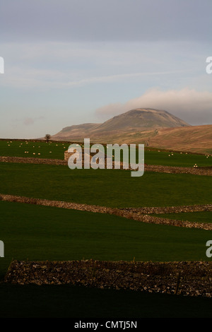 Cloud-streaming über den Gipfel des Pen-y-Gent Ribblesdale North Yorkshire England Stockfoto