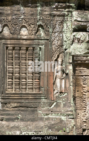 Ta Prohm Tempel Angkor, Kambodscha Stockfoto