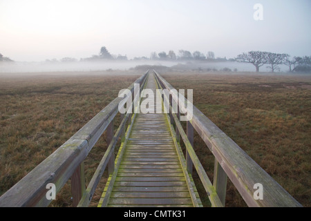 Der Causeway, Newtown Salzwiesen, Isle Of Wight Stockfoto