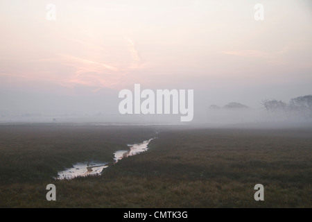 Am frühen Morgen, kurz nach Sonnenaufgang, Newtown Salzwiesen, Isle Of Wight Stockfoto