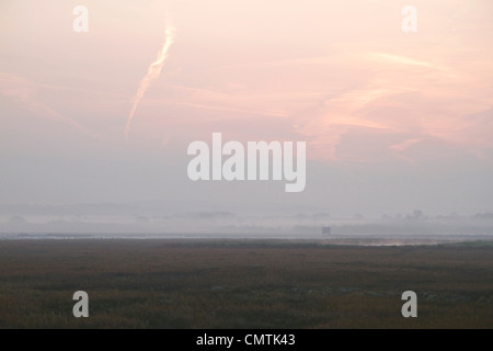 Am frühen Morgen, kurz nach Sonnenaufgang, Newtown Salzwiesen, Isle Of Wight Stockfoto