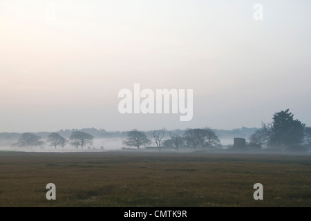 Am frühen Morgen, kurz nach Sonnenaufgang, Newtown Salzwiesen, Isle Of Wight Stockfoto