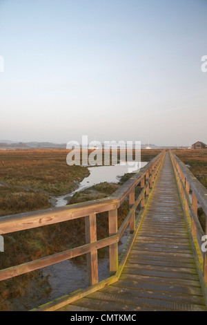 Der Causeway, Newtown Salzwiesen, Isle Of Wight Stockfoto