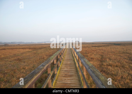 Der Causeway, Newtown Salzwiesen, Isle Of Wight Stockfoto