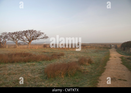 Am frühen Morgen, kurz nach Sonnenaufgang, Newtown Salzwiesen, Isle Of Wight Stockfoto