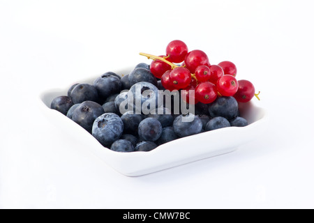 Blaubeeren und Johannisbeeren in einer weißen Schale auf weißem Hintergrund Stockfoto