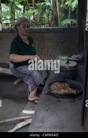 Eine balinesische Frau Rösten von Kaffeebohnen auf einer Plantage auf Bali Stockfoto