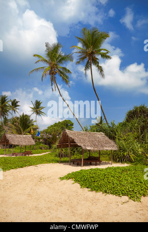 Sri Lanka Landschaft am Koggala Sand Strand (Südwestspitze von SriLanka), Asien Stockfoto