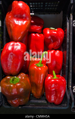 Rote Paprika Mercado de Triana Markt Halle Zentrale Sevilla Andalusien Spanien Stockfoto