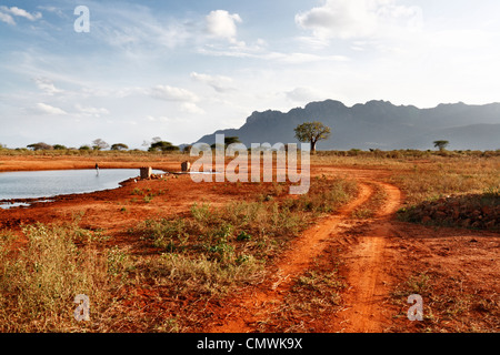 Wasserloch Und Affenbrotbaum Im Hintergrund Stockfoto