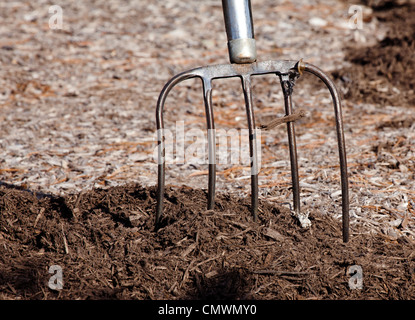 Nahaufnahme einer Heugabel in einem Haufen von Mulch. Stockfoto