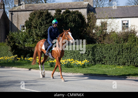 Jockey trainieren Rennpferde, Pferd Reiter auf der Straße in der Stadt Middleham, einem Dorf in der Landschaft von North Yorkshire Dales, Großbritannien Stockfoto