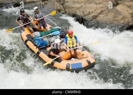 Wildwasser-rafting Expedition auf der North Johnstone River, Wooroonooran Nationalpark, Queensland, Australien Stockfoto