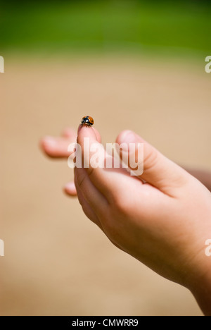 Nahaufnahme der Marienkäfer auf Kinderhand Wascana Ansicht, Regina, Saskatchewan Stockfoto