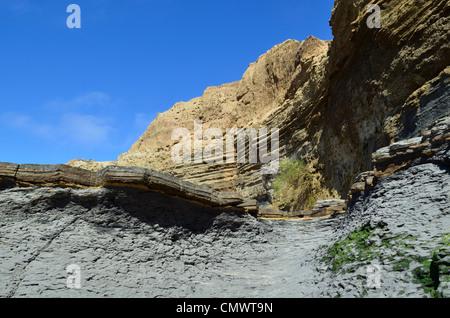 Felsigen Klippen von Welle Erosion gebildet. La Jolla, Kalifornien, USA. Stockfoto