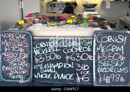 Vereinigtes Königreich Littlehampton einem nassen Fisch auf einem Fischhändler Stall anzeigen Stockfoto