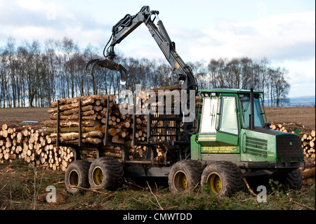 Stapeln von gefälltem Holz aus einer Kiefer-Plantage in Stirlingshire, Schottland Stockfoto