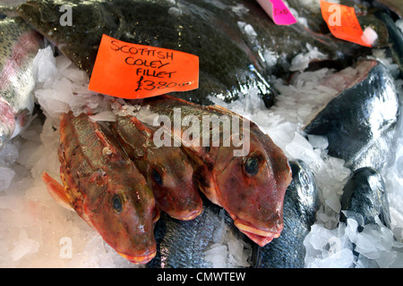 Vereinigtes Königreich West Sussex Littlehampton am Fluss Fische shop eine nassen Fisch-display Stockfoto