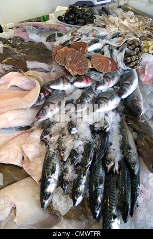 Vereinigtes Königreich West Sussex Littlehampton am Fluss Fische shop eine nassen Fisch-display Stockfoto