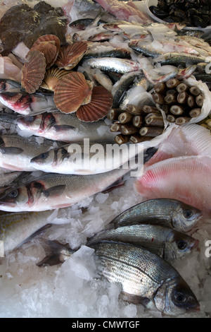 Vereinigtes Königreich West Sussex Littlehampton am Fluss Fische shop eine nassen Fisch-display Stockfoto