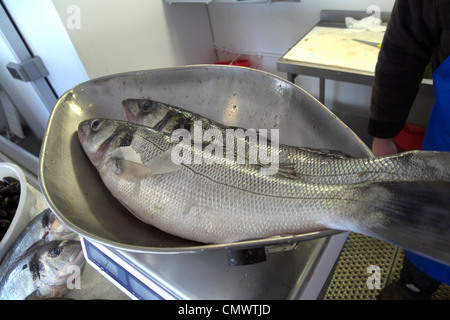 Vereinigtes Königreich West Sussex Littlehampton am Fluss Fische shop eine nassen Fisch-display Stockfoto