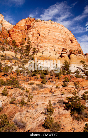 Felsformationen, Zion Nationalpark, Utah, USA Stockfoto