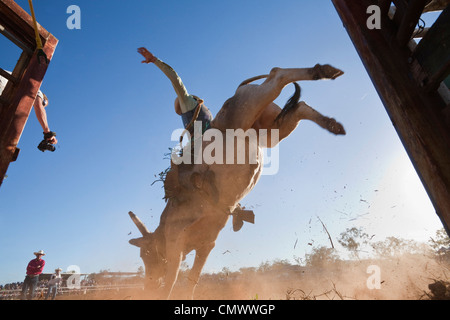 Niedrigen Winkel Ansicht von Bull Rider Arena betreten.  Mt-Granat Rodeo, Mt Granat, Queensland, Australien Stockfoto