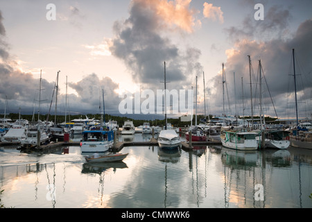 Port Douglas Marina. Port Douglas, Queensland, Australien Stockfoto