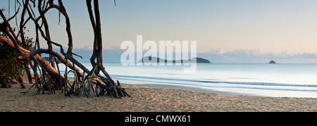 Mangrovenbäume am Strand mit Doppel-Insel im Hintergrund. Kewarra Beach, Cairns, Queensland, Australien Stockfoto