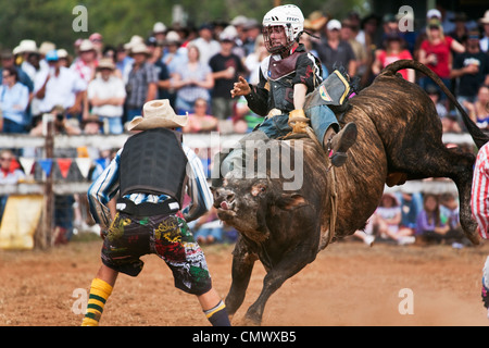 Bull-Fahrer in Aktion bei Mt Granat Rodeo. Mt Granat, Queensland, Australien Stockfoto