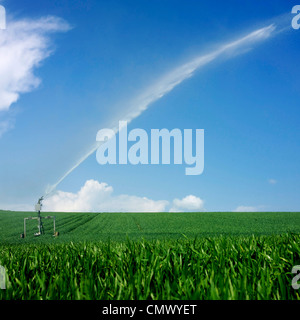 Tränken ein Feld von Mais, Centre, Auvergne, Frankreich, Europa Stockfoto