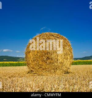 Heuballen. Nahaufnahme eines Strohballens, der im Sommer auf dem Feld rollt Stockfoto