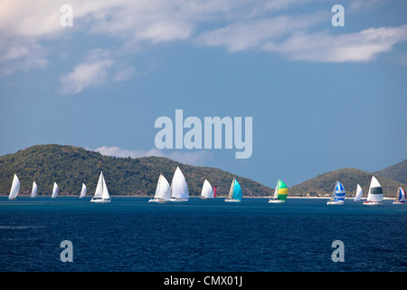 Yacht-Rennen in der Whitsunday Passage während Hamilton Island Race Week. Whitsundays, Queensland, Australien Stockfoto