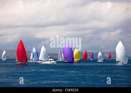 Yacht-Rennen in der Whitsunday Passage während Hamilton Island Race Week. Whitsundays, Queensland, Australien Stockfoto