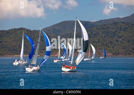 Yacht-Rennen in der Whitsunday Passage während Hamilton Island Race Week. Whitsundays, Queensland, Australien Stockfoto