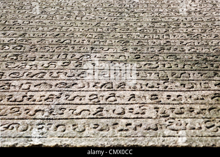 Sanskrit. Text auf den Ruinen der alten Hauptstadt von Sri Lanka Stockfoto