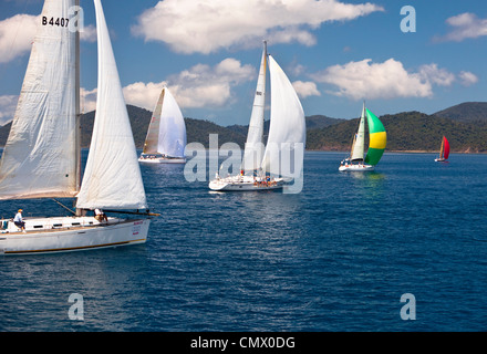 Yacht-Rennen in der Whitsunday Passage während Hamilton Island Race Week. Whitsundays, Queensland, Australien Stockfoto