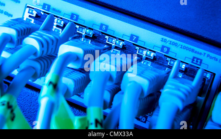 Netzwerk-Kabel an den Hub angeschlossen Stockfoto