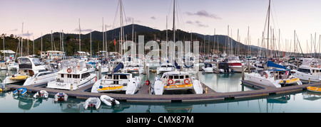 Yachten in Abel Point Marina. Airlie Beach, Whitsundays, Queensland, Australien Stockfoto