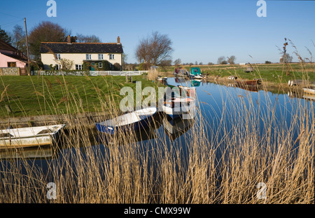 Norfolk Broads Landschaft am West Somerton, Norfolk, England Stockfoto