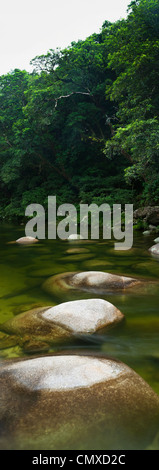 Mossman Schlucht - eine beliebte Süßwasser Schwimmbereich im Daintree Nationalpark. Mossman, Queensland, Australien Stockfoto