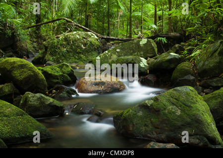 Regenwald-Stream in der Mossman Gorge im Daintree Nationalpark. Mossman, Queensland, Australien Stockfoto